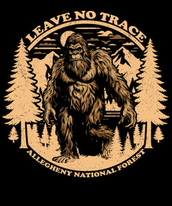 1468 Leave No Trace Allegheny National Forest