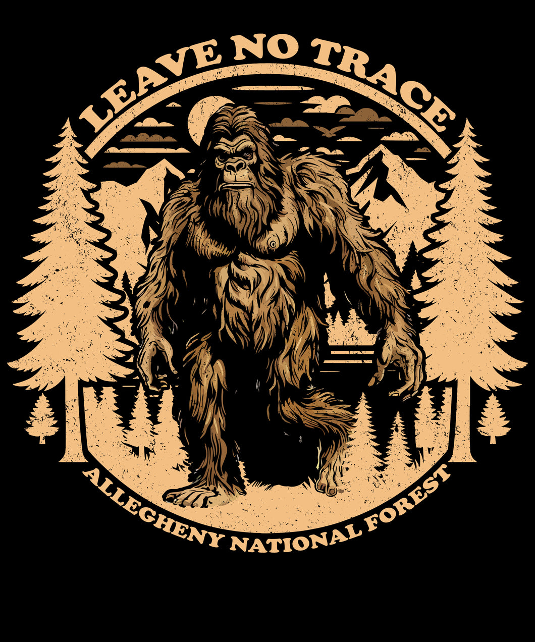 1468 Leave No Trace Allegheny National Forest