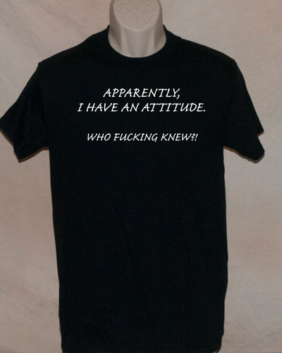 1062 APPARENTLY, I HAVE AN ATTITUDE