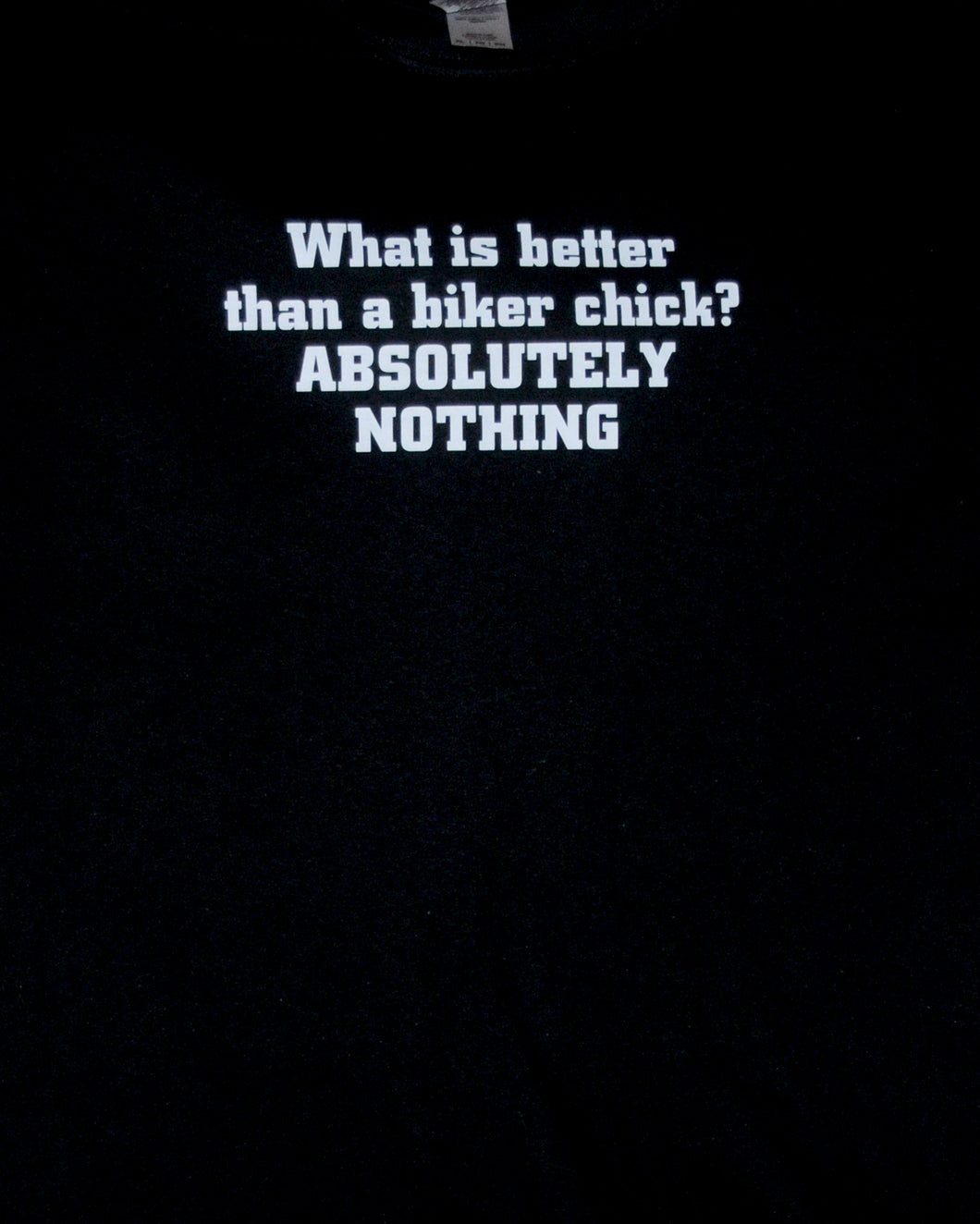 1170 Whats better than a biker chick Absolutely Nothing